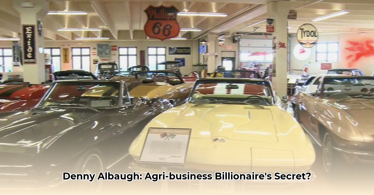 denny-albaugh-net-worth